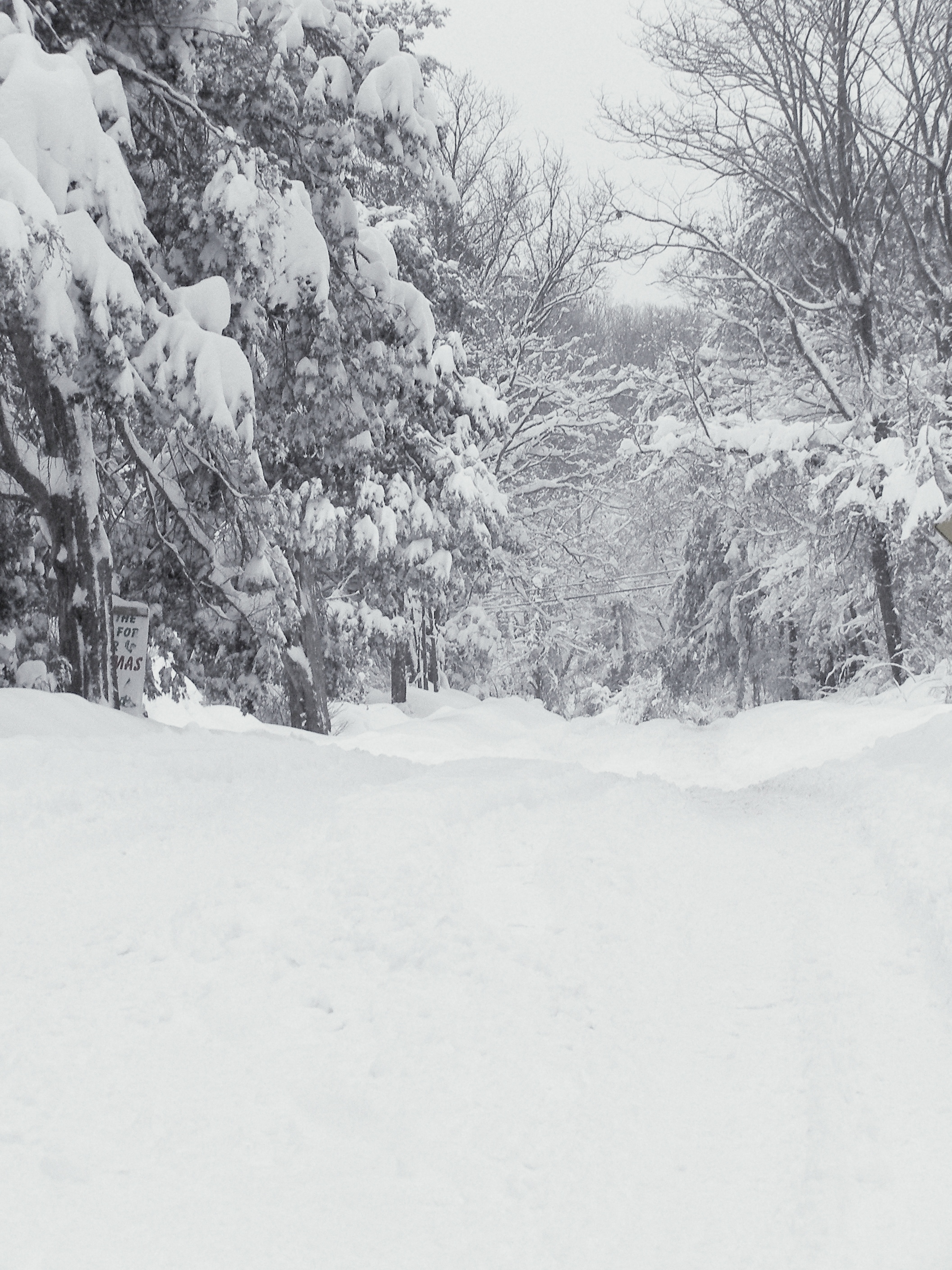 snowy road